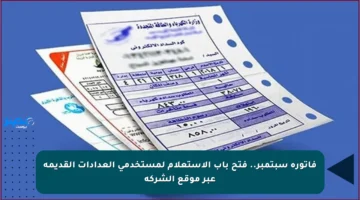 فاتورة سبتمبر.. فتح باب الاستعلام لمستخدمي العدادات القديمة عبر موقع الشركة
